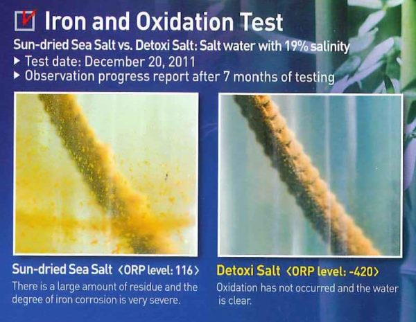 DETOXI IRON OXIDATION TEST