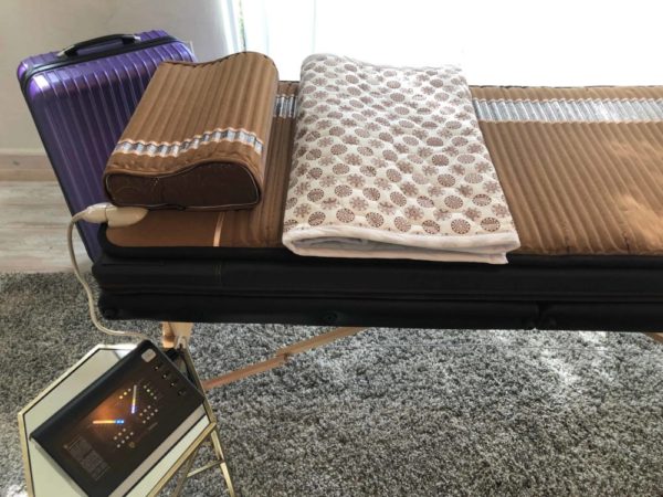 Amethyst Biomat and Pillow with cover and suitcase