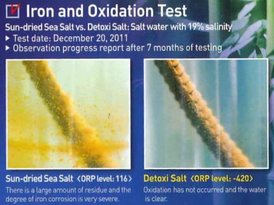 iron_detoxi_test-600×465