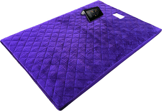 Amethyst Biomat