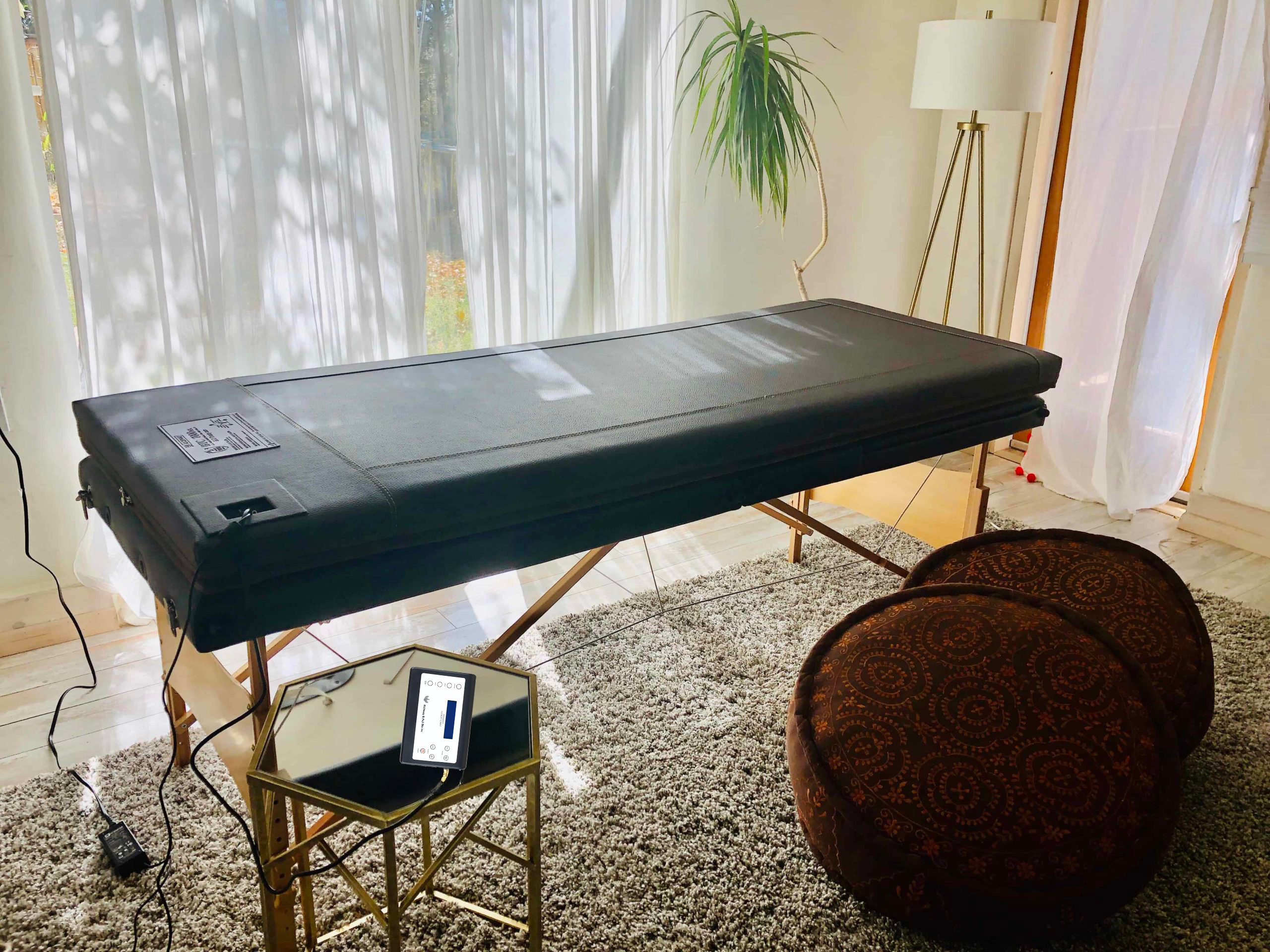 quantum energy pad biomat
