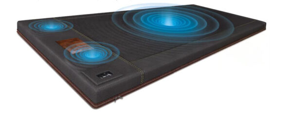 Bioacustic Device BioAcoustic Mat | Vibroacoustic Therapy Device | Biomat Health