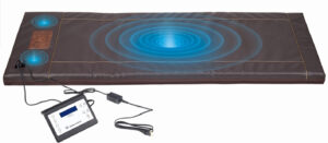 BioAcoustic Mat